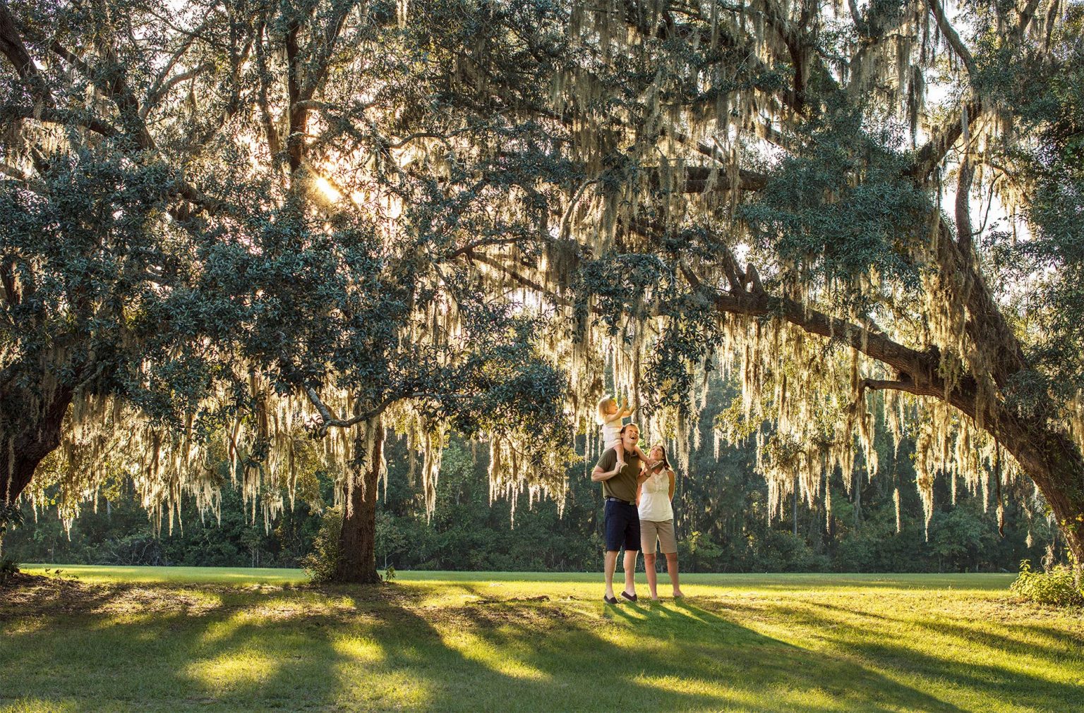 Homepage Seven Pines Jacksonville, FL Homes