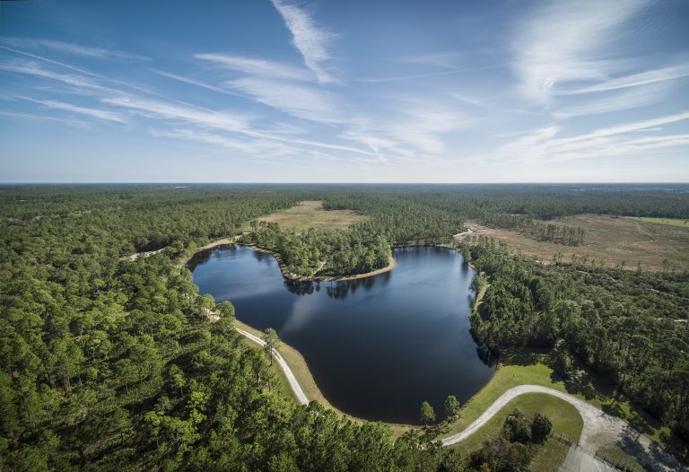 Homepage Seven Pines Jacksonville, FL Homes