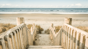 Beach Days for Seven Pines Residents - 2